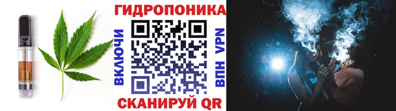Cannafood конопля  где можно купить   Завитинск 