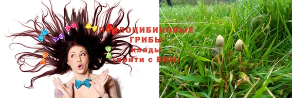 бутират Алзамай